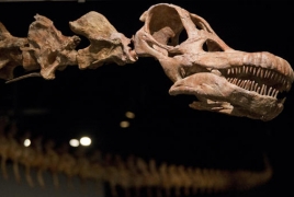 Biggest ever dinosaur discovered