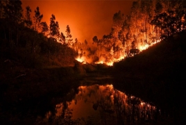 Armenia sends fire appliances  to help douse Georgia wildfire