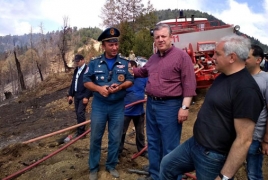 Премьер Грузии поблагодарил армянских пожарных за помощь в тушении пожара в Боржоми