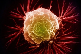 Scientists build tiny nanomachines to kill cancer cells within minutes