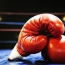 German-Armenian boxer Arman Torosyan vs Britain's Martin Murray