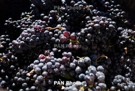 Mobile 'Wine Cubes' could transform Armenia's enotourism: Smithsonian