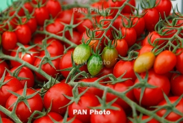 Саргсян: Армения готова потеснить других поставщиков томатов для РФ