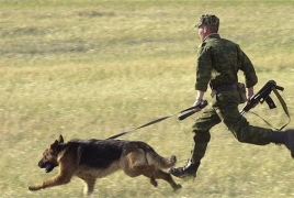 Azerbaijan will train guard dogs to respond to Armenian speech