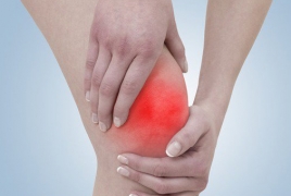 Scientists present findings as they race to build knee cartilage