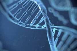 Researchers discover genes linked to homosexuality