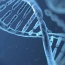 Researchers discover genes linked to homosexuality