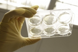 New device for detecting cancerous stem cells in the works