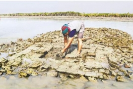 Early settlement in Sundarbans reveals rich civilization