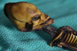 Scientists solve ‘alien skeleton’ mystery