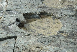 170 million-year-old dinosaur footprints discovered in Scotland