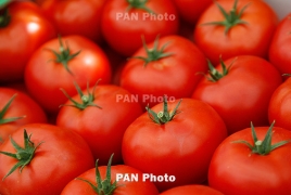 РФ подозревает Армению в реэкспорте помидоров