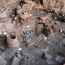 Earliest known winery found in Armenia: National Geographic