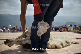 British shearers will participate in Armenia sheep shearing festival