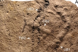 Scientists say world’s oldest footprints belonged to tiny animals