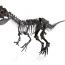 150-million-year-old mystery dinosaur fossil auctions for $2.3 mln