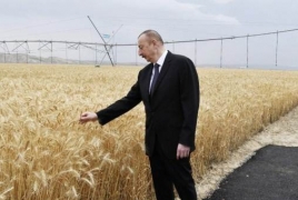 Asphalt laid for Azerbaijan's Aliyev so that he can touch the ears of wheat