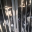 «Դինգո Թիմ». Մանվել Գրիգորյանի շները մնացել են անտեր ու ոռնում են սովից