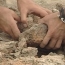 Археологи обнаружили в Турции следы жестоких убийств детей