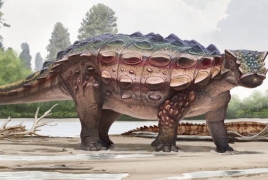 New species of armoured dinosaur became extinct 66 mln years ago