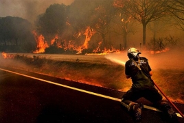 Около 50 человек погибли из-за пожаров в Греции
