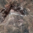 Early Jurassic dinosaur footprints discovered in China