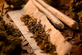 Грузия будет производить марихуану с целью экспорта