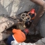 2 ջրանցք շուկայականից 10 անգամ էժան է վաճառվել