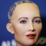 Sophia the robot communicating with Francophonie Forum attendees