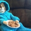Госдеп США по ошибке разослал приглашения на вечеринку с печеньками и котами в пижамах