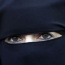 Алжирским женщинам запретили носить никаб на работе