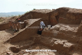 Centuries-old termite ‘super-colony’ discovered in Brazil