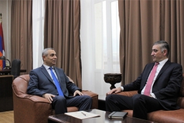Artsakh Foreign Minister meets Armenia's ambassador to Austria