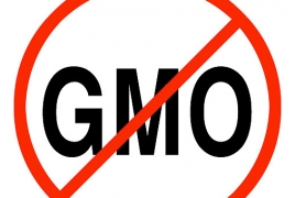 С 26 декабря маркировка продуктов с ГМО в Армении обязательна