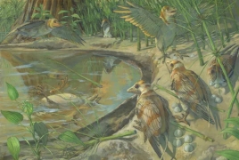 Oldest egg fossil discovered inside 110-million-year-old bird