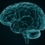 Brain area found that only processes spoken, not written words
