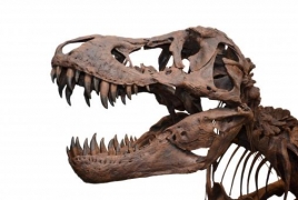 Scientists identify biggest Tyrannosaurus rex ever discovered
