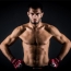 Gegard Mousasi to defend middleweight title on June 22