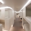 Sleeping in airplane's windowless cargo cabin could be thing soon