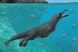 42.6m-year-old fossil of four-legged whale discovered