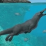 42.6m-year-old fossil of four-legged whale discovered