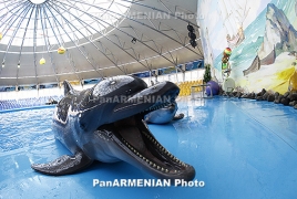Ученые: Дельфинам грозит полное вымирание