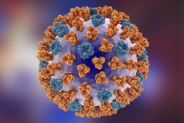 Mechanism to form influenza A virus discovered