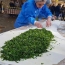 Մայիսի 11-ին Արցախում աշխարհի ամենամեծ ժենգյալով հացը կպատրաստվի