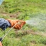 Monsanto must pay couple $2bn in over cancer claims