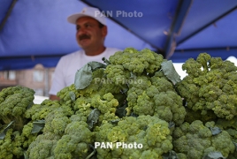 Broccoli and brussels sprouts named cancer foes in new research