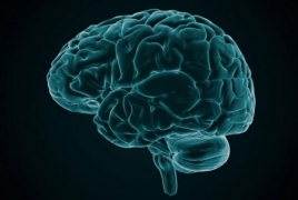 Physical evidence found in brain for types of schizophrenia