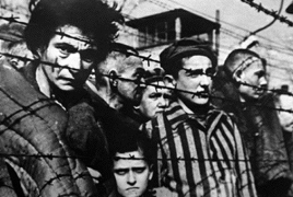 Holocaust trauma left biological mark on brains of survivors