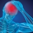 Biomarkers in blood may help predict recovery time after concussion