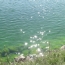 Նախարար. 7-10 օրում Սևանի ջրի կանաչ գույնը կվերանա՝ ֆոսֆորի քանակը նվազում է